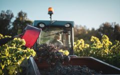 Domaine Montrose Harvest Winery Image