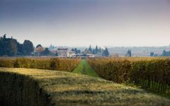 Masi Costasera Amarone Classico 2009 | Wine.com