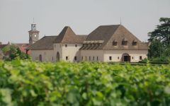 Chateau de Marsannay Gevrey-Chambertin 2017 | Wine.com
