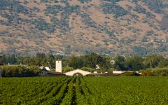 Robert Mondavi To Kalon Vineyard and WInery Winery Image