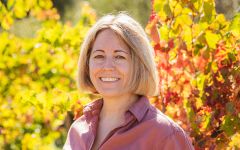 Pedroncelli Winery Montse Reece Winery Image