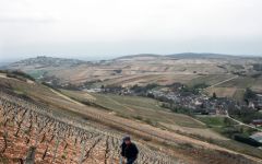 Henri Bourgeois Winery Image