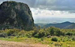 Pala West Coast View Winery Image