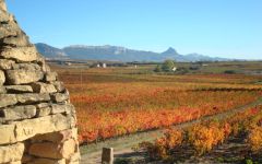 Torre de Ona by La Rioja Alta  Winery Image