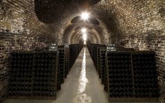 Champagne Ayala The Caves Winery Image