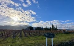 Grand Napa Vineyards Estate in Rutherford Winery Image