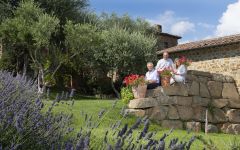 Fattoria La Lecciaia  Winery Image