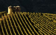 Les Cretes The 16th Century Côteau la Tour tower Winery Image