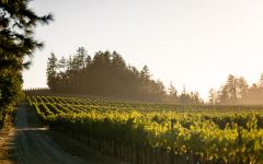 La Jota Vineyards Co. Winery Image