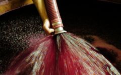 Ziobaffa  Winery Image