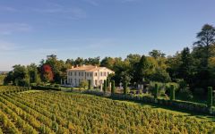 Chateau Troplong Mondot A Vineyard in One Piece Winery Image