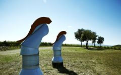 Poggio San Polo  Winery Image
