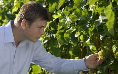 Nals Margreid Winemaker Harald Schraffl Winery Image
