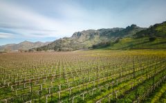 Clos du Val Winery Image