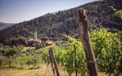 Fattoria di Grignano Fattoria di Grignano Estate Winery Image