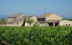 Mas de Boislauzon Winery Image