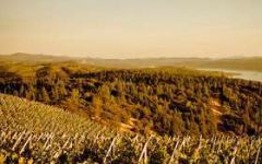 Brassfield Estate Winery Winery Image