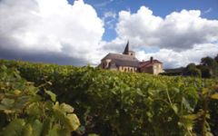 Champagne Armand de Brignac Winery Image
