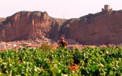 Bodegas Ontanon Winery Image