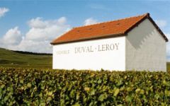 Duval-Leroy Winery Image