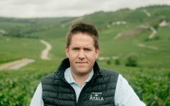 Champagne Ayala Julian Gout, Chef de Cave Winery Image
