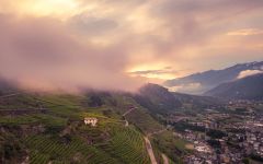 Nino Negri Winery Image