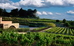 Llopart Winery Image