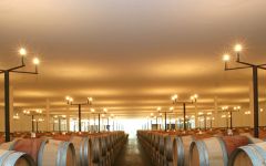 Chateau Ducru-Beaucaillou Chateau Ducru-Beaucaillou Barrel Room Winery Image