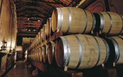Sella & Mosca Winery Image