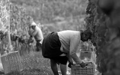 Herdade do Rocim Winery Image