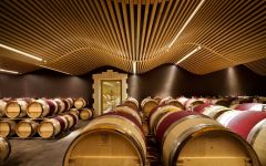 Chateau Angelus First Year Cellar Winery Image