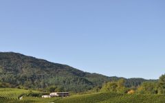 Hiruzta  Winery Image