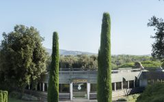 Ornellaia Masseto 2004 | Wine.com Ornellaia Masseto 2004 | Wine.com