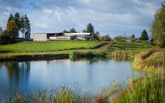 Elk Cove Vineyards Elk Cove Estate Winery Image