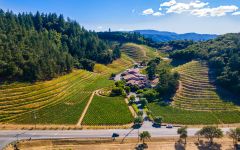 Pine Ridge Pine Ridge Vineyards Estate Winery Image