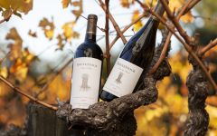 RouteStock Routestock Red Wines  Winery Image