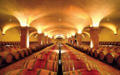 Castiglion del Bosco Barrel Room Winery Image