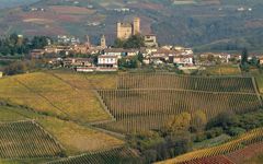 Gaja Ca'Marcanda Magari 2016 | Wine.com