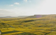 Champagne Nicolas Feuillatte A Union of Talents Winery Image