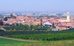Roscato Winery Image