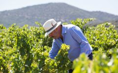 Bodegas Breca Winery Image