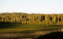 La Jota Vineyards Co. Winery Image