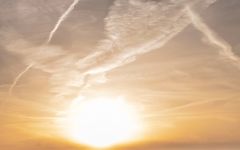 Sella & Mosca Harvest Sunset Winery Image