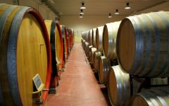 Castello Romitorio Romitorio Cellar Winery Image