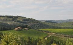 Castello di Monsanto Chianti Classico Vineyard Winery Image