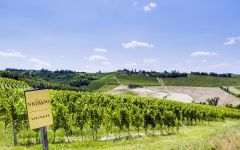 Tenute Neirano  Winery Image