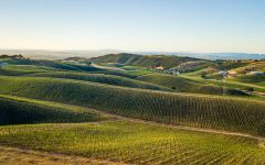 Patrimony Cultivation Winery Image