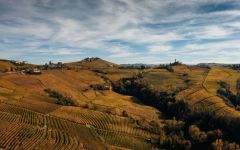 Villa Jolanda The Vineyards in Fall Winery Image