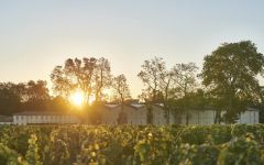 Chateau d'Armailhac Château d'Armailhac Winery Image
