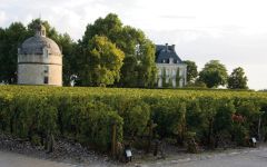 Chateau Latour 1982 | Wine.com Chateau Latour 1982 | Wine.com